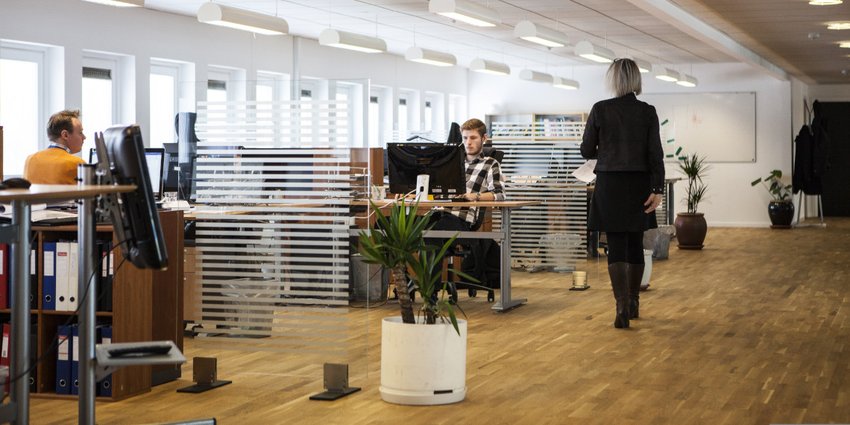 Open-plan office with several workstations, glass partitions, plants, and people working at desks or walking through the space.