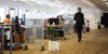 Open-plan office with several workstations, glass partitions, plants, and people working at desks or walking through the space.